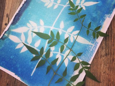 Cyanotype with Nature 20/4/22